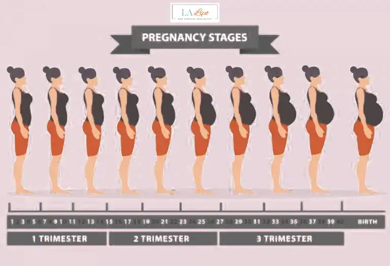 First Trimester (Weeks 1–12): Early Changes You Might Not Notice Rushden